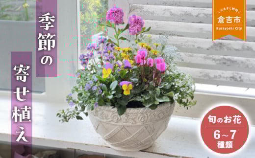季節の寄せ植え Ｌ（1月発送） お花 ギフト