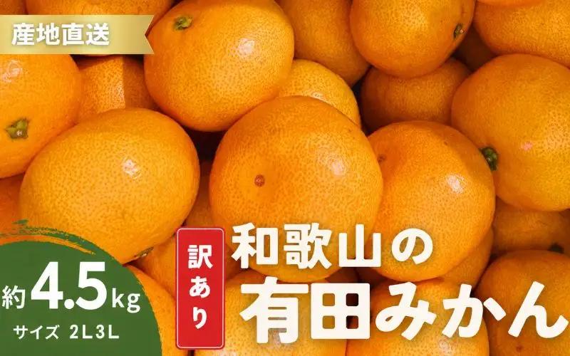 家庭用 有田みかん 和歌山 訳あり 大玉(2L,3Lサイズ混合) 4.5kg【11月上旬～1月下旬頃に順次発送】/ みかん フルーツ 果物 くだもの 有田みかん 蜜柑 柑橘【ktn011】