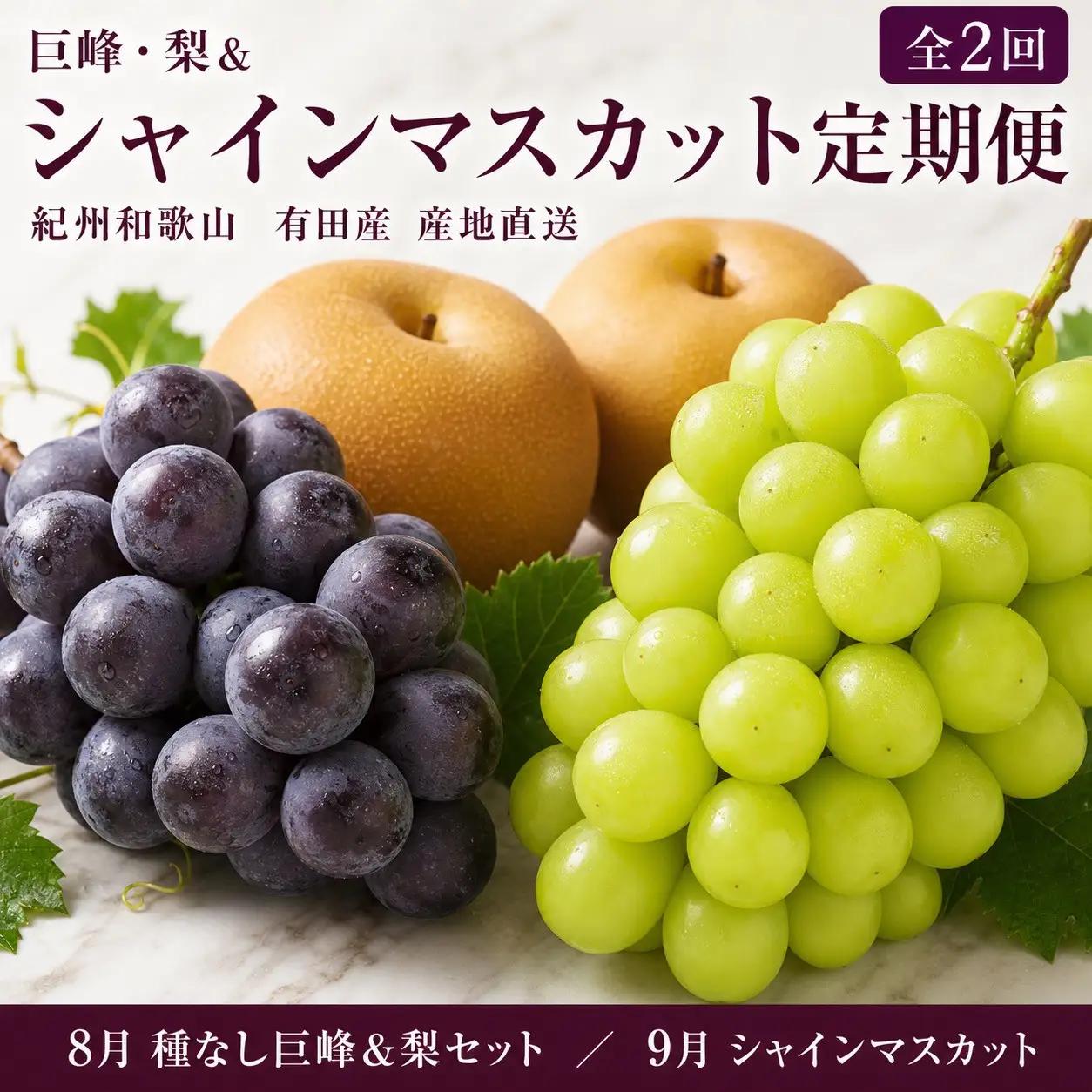 定期便 8・9月発送 紀州有田産旬のフルーツセット（種なし巨峰＆梨セット×計約2kg・シャインマスカット×約2kg）