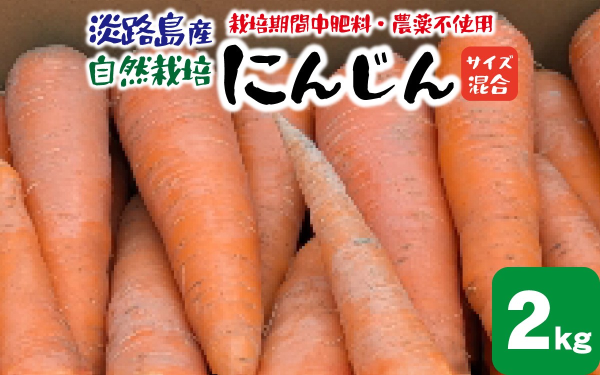 
                  淡路島産 栽培期間中肥料・農薬不使用 自然栽培人参 2kg /  野菜 自然栽培 農薬不使用 兵庫 兵庫県 洲本市 にんじん ニンジン サイズ混合 瀬戸内海 御食国
                