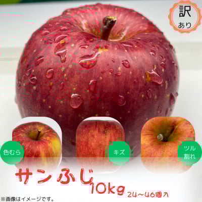
            訳ありりんご＜サンふじ＞10kg(24～46個入)　＜令和6年11月下旬～随時発送開始＞【1486198】
          