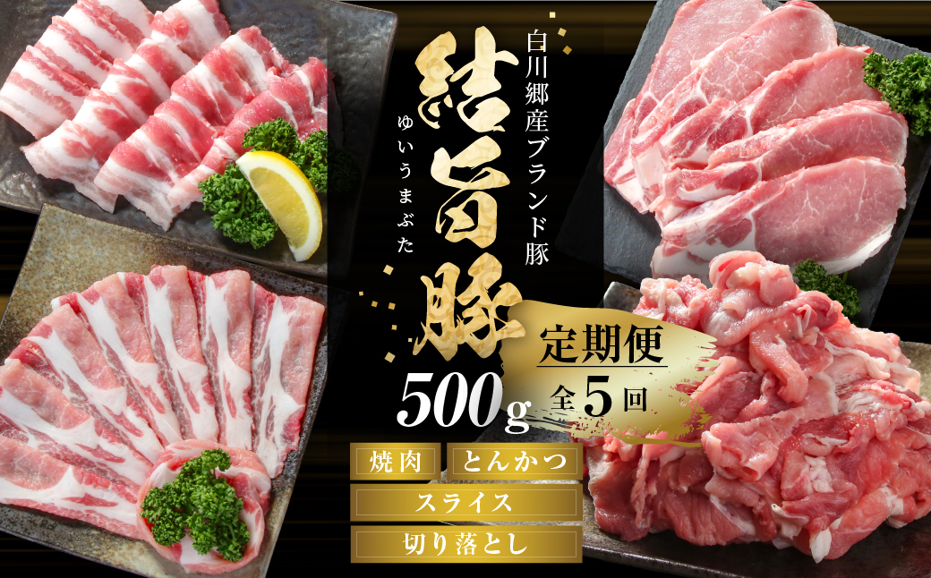 
                  定期便 全5回 結旨豚 ローススライス バラ焼肉 切り落とし ロースとんかつ バラスライス 500g×5か月 毎月1回 冷凍 真空パック ｜ 豚肉 定期便 定期便 肉 豚肉 しゃぶしゃぶ 豚肉 焼肉 豚肉 とんかつ 豚肉 切り落とし 豚肉 食べ比べ 結旨豚 ブランド豚 国産豚 ブランド豚 結旨豚 セット 小分け 切落し ギフト 世界遺産 白川郷 [MS101]
                