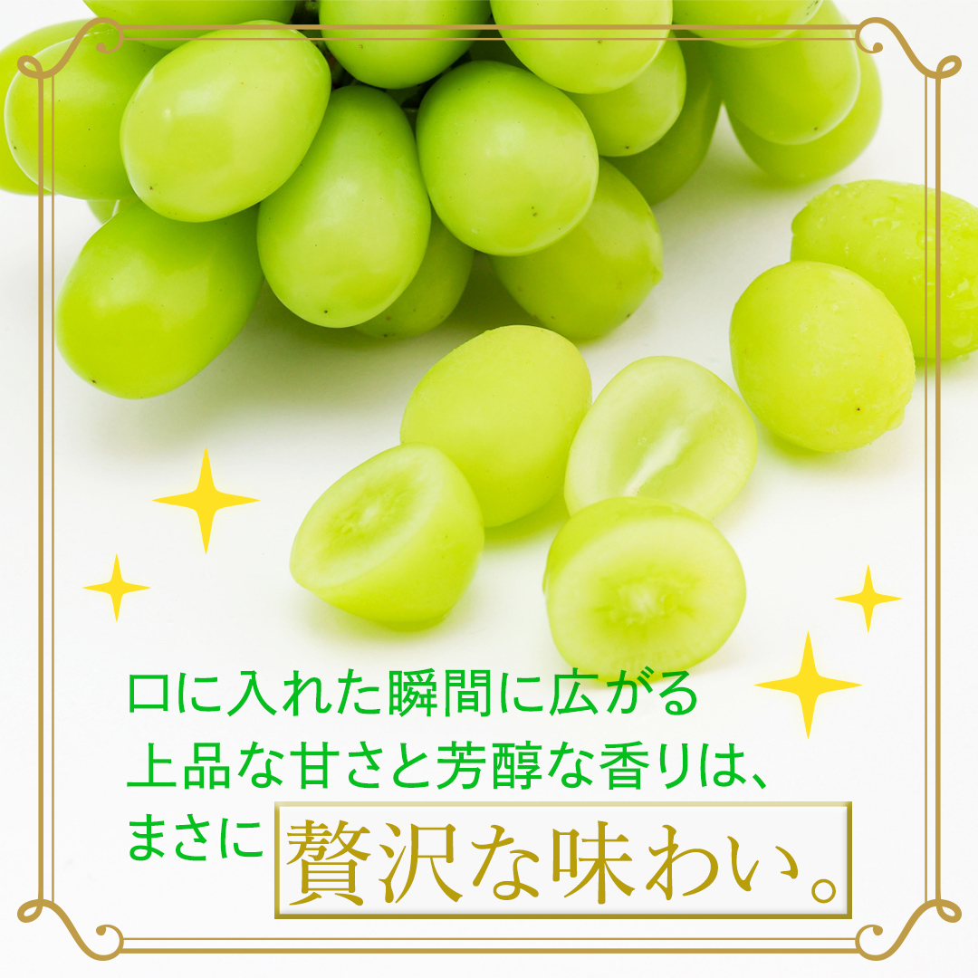 【定期便】6か月連続でお届け！ シャインマスカット 約5kg（約8～12房）【2026年8月から発送開始】（茨城県共通返礼品 [ぶどう]：結城市産） ぶどう ブドウ 葡萄 シャインマスカット 種なし 