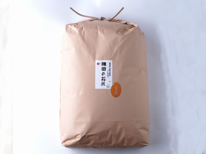 定期便 6ヶ月 雪むろ 棚田米 コシヒカリ 10kg 玄米 [定期便]毎月発送(計6回) こしひかり 米 お米 こめ おすすめ ユキノハコ 新潟 新潟県産 にいがた 上越 上越産