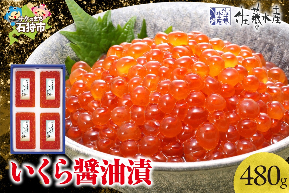 
                  【選べる発送】佐藤水産 北海道産 いくら醤油漬 480g｜ふるさと納税 秋鮭 鮭いくら イクラ 醤油 醤油漬 魚卵 北海道 石狩市
                