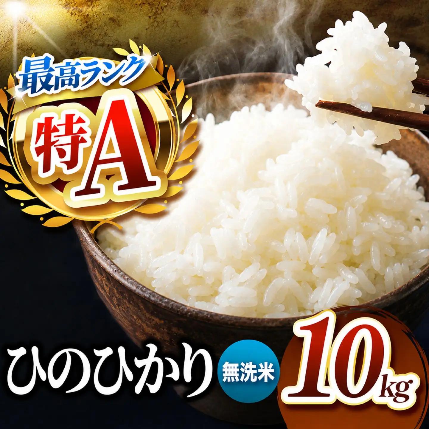R7年産 熊本県産 ひのひかり 無洗米 10kg