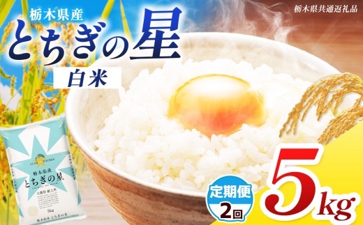 【栃木県共通返礼品】【先行予約】【令和8年度産】【定期2回】訳あり 栃木県産とちぎの星 5kg |定期便 選べる ふるさと 納税 とちぎの星 お米 精米 白米 玄米 大粒 共通返礼品 送料無料 那珂川町 栃木県