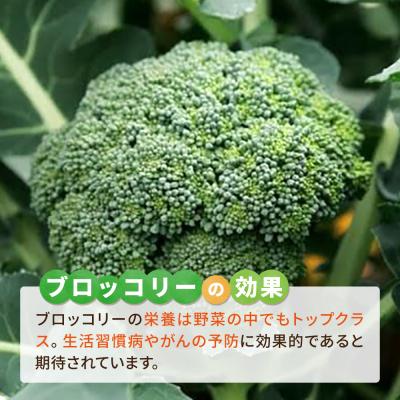 ふるさと納税 糸島市 ブロッコリー 1kg 冷凍 旬の時期に急速冷凍 【福岡県糸島産】 [AGE053] |  | 03