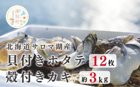 【国内消費拡大求む】<先行予約2024年11月から発送>北海道サロマ湖産　貝付きホタテ12枚・カキ約3kg　ほたて　帆立　刺身　牡蠣　かき　海鮮　魚介　殻付き　貝付き　冷蔵　サロマ湖　オホーツク　おほーつく　湧別町　北海道