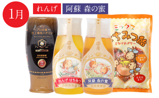 【定期便 年4回】仕上げ専用蜂蜜 ポリチューブ蜂蜜2本 蜂蜜あめ袋セット