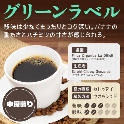 ふるさと納税 滑川町 ホンジュラスコーヒー 焙煎豆 200g 中挽き【グリーン】|19_pun-010101bb |  | 01