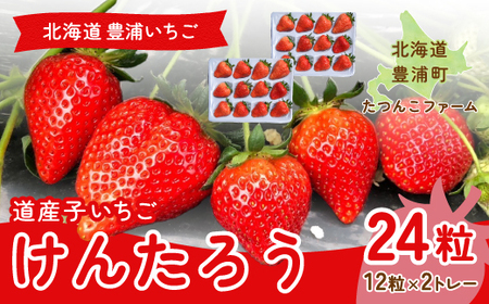 【2026.4月以降順次出荷】北海道いちご けんたろう 30g以上×12粒 2トレー（24粒） 北海道 豊浦町 TYUF003