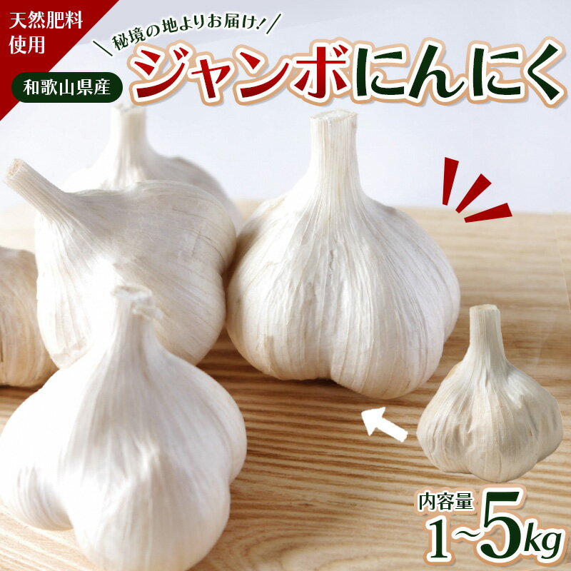 【ふるさと納税】 秘境の地からお届けする あゆみファームのご家庭用ジャンボにんにく 1〜5kg【2025年7月下旬ごろから順次発送】/ にんにく ニンニク ジャンボにんにく 予約受付 ガーリック 和歌山