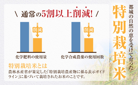 都城産ひのひかり特別栽培米「ぼんちそだち」10kg(5kg×2袋)_31-N501_(都城市) 都城産 お米 10kg 5kg×2 ひのひかり ぼんちそだち