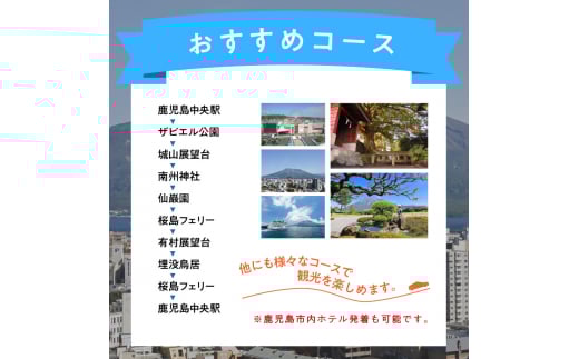 鹿児島市内・桜島めぐり5時間コース（ジャンボタクシー）9名様まで　K192-FT004