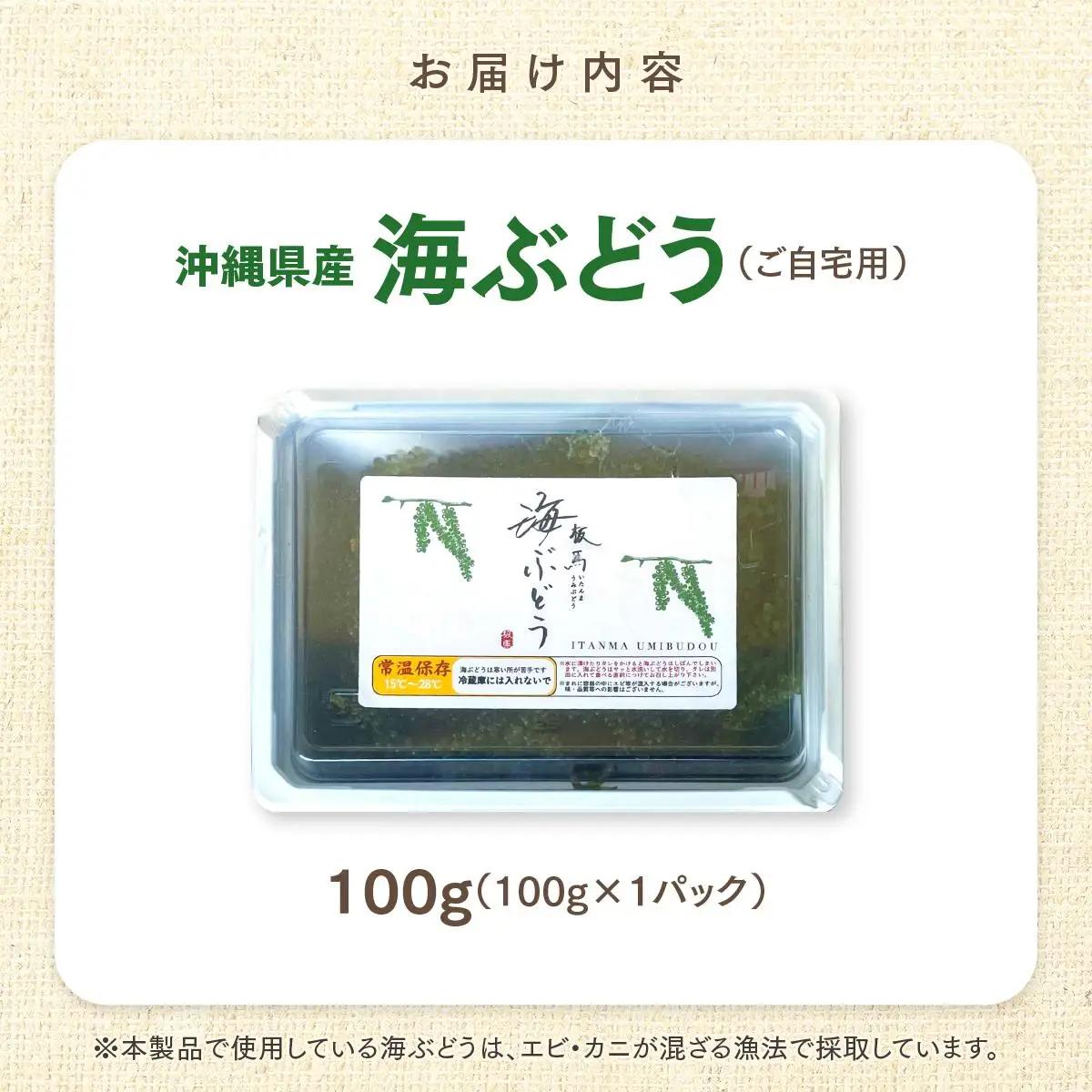 海ぶどう　100g（ご自宅用）