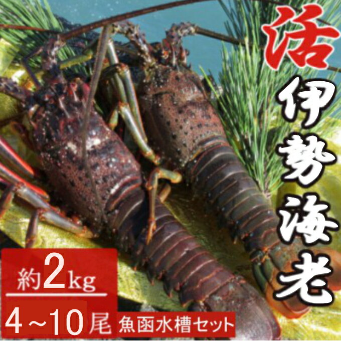 【ふるさと納税】 活き伊勢海老 2～5尾 2kg 魚函水槽 セット 伊勢海老 海老 魚介類 えび魚介 刺身 産地直送 新鮮 海鮮 高知県 室戸市