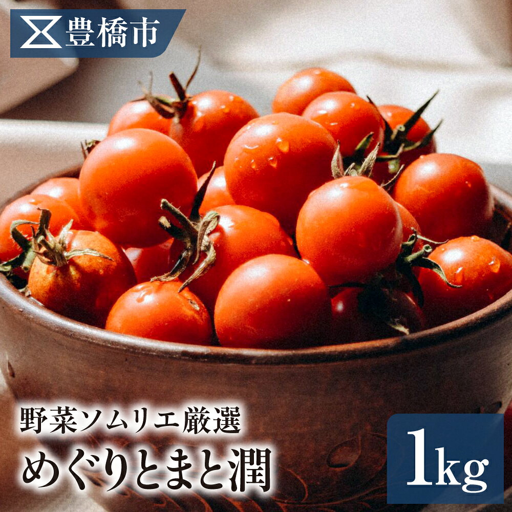 【ふるさと納税】《先行予約》豊橋市産 めぐりとまと潤（ミニトマト）1kg 産地直送
