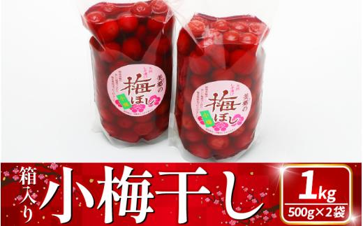 美郷の小梅干1kg