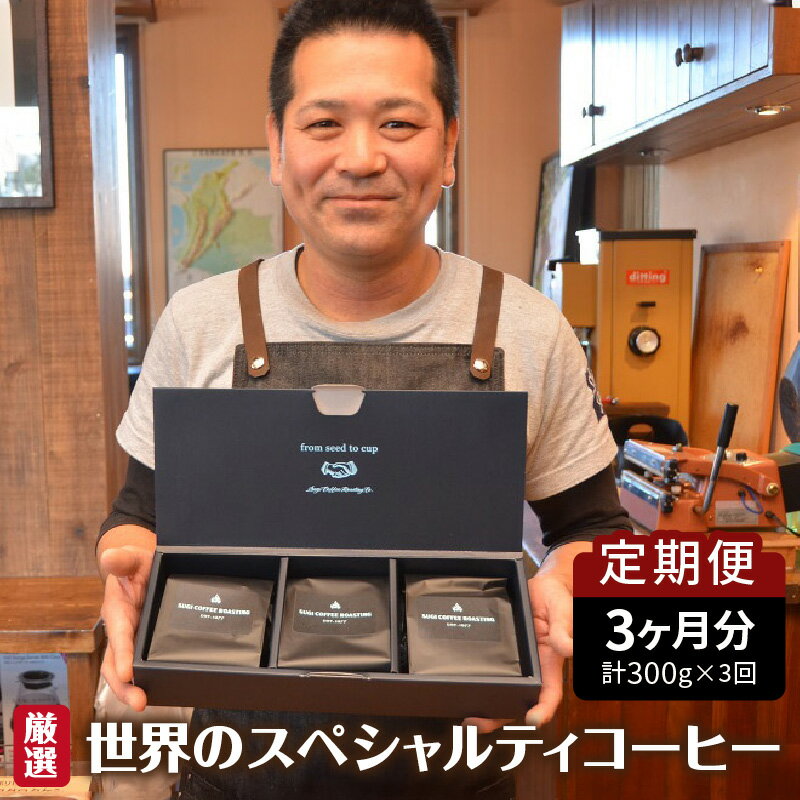 【ふるさと納税】】＼レビューキャンペーン対象／【定期便】3ヶ月 厳選 世界のスペシャルティ コーヒー （100g×3種・計 300g × 3 回）【選べる 豆 粉 挽き方】シングルオリジン 珈琲豆 飲料 ドリンク 3種類 珈琲豆 粗挽き 中挽き 細挽き エスプレッソ挽き 送料無料