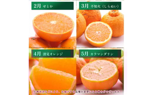【4～6月】柑橘 定期便 S【全3回】【和歌山】 / 定期便  はっさく せとか 不知火 清見オレンジ カラマンダリン みかんゼリー ハウスみかん ゆら早生 有田みかん ※北海道・沖縄・離島への配送不