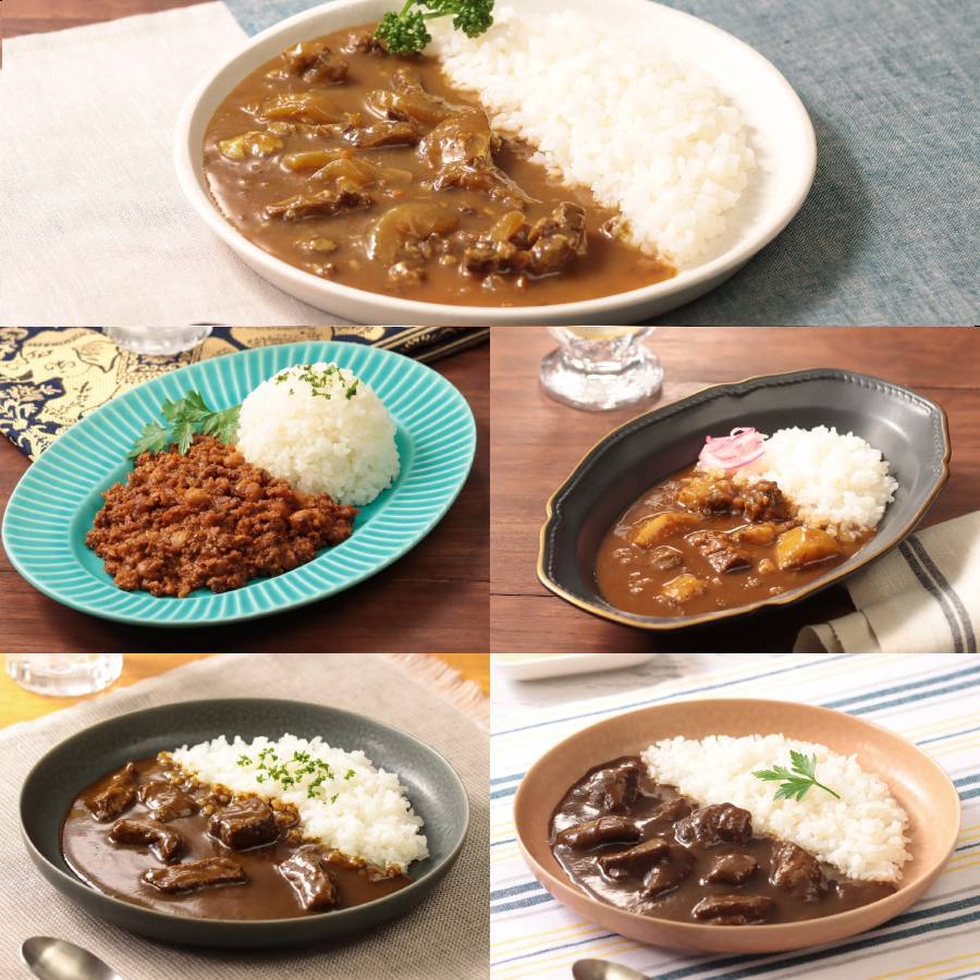 ＜カレー工房NVfoods＞カレー好きのためのアソート 12個セット