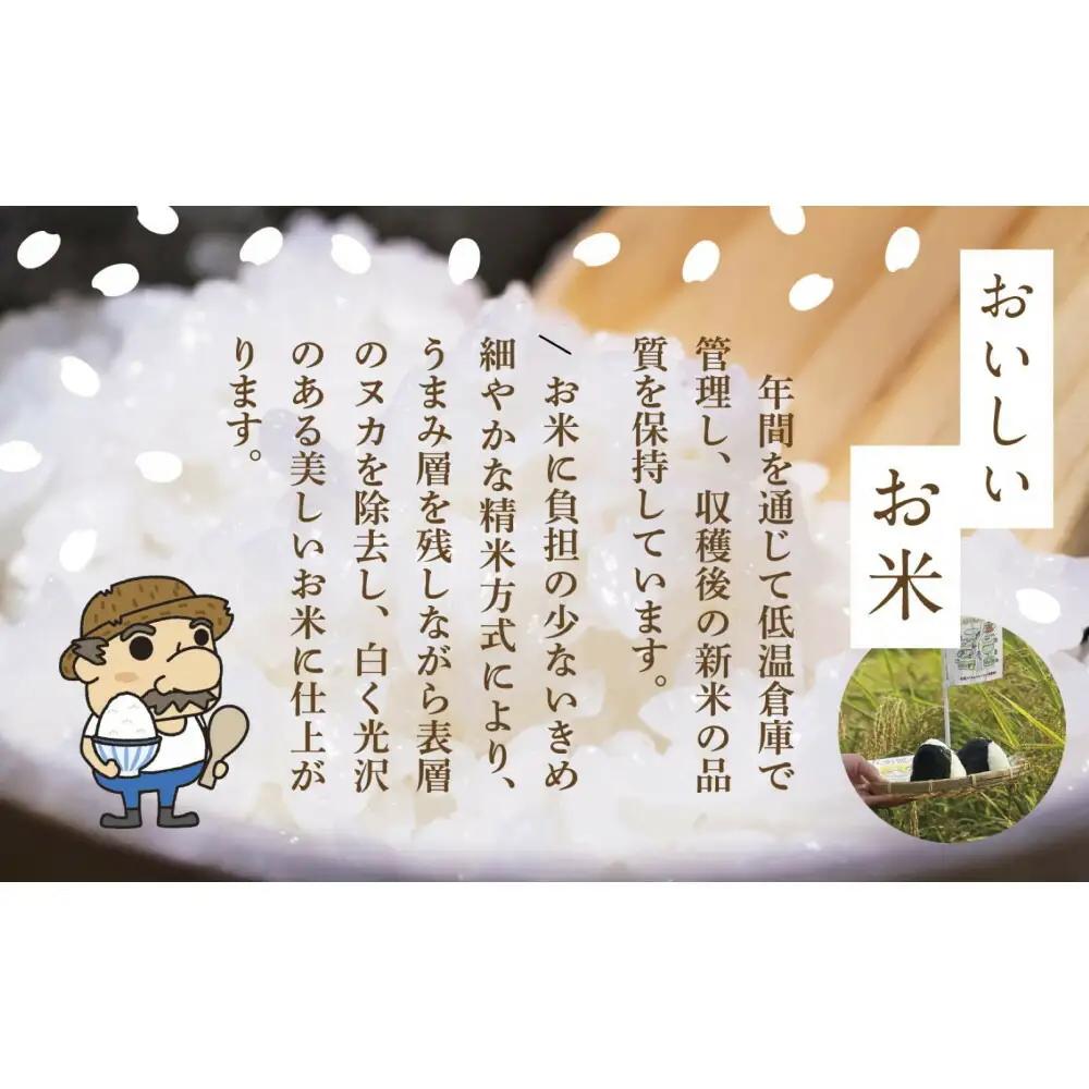 【定期便 6回 】コシヒカリ 精米 5kg 計30キロ | 新潟県 佐渡市 コシヒカリ