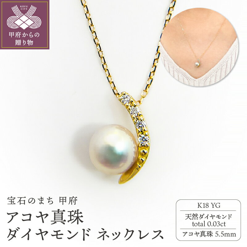 【ふるさと納税】 ペンダント ネックレス レディース ジュエリー アクセサリー 天然 ダイヤモンド 0.03ct パール アコヤ真珠 1粒 K18 イエローゴールド 上品 ギフト プレゼント 贈り物 ジュエリーケース付 鑑別書付 保証書付 k001-799