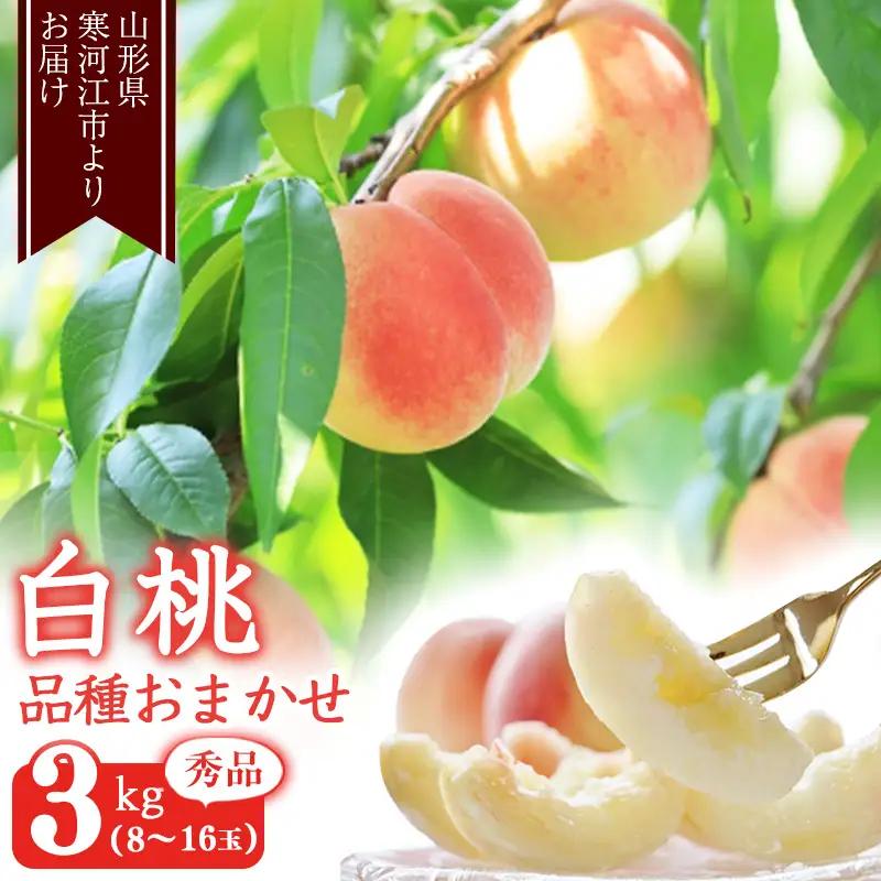 山形の白桃 3kg 品種おまかせ (8～16玉) 秀品 