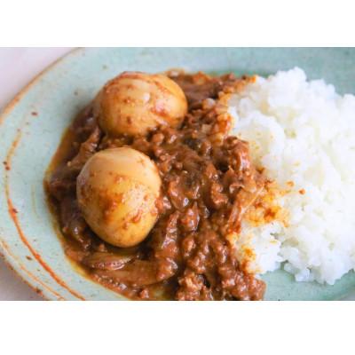 ふるさと納税 与謝野町 tangobar　ごちそう缶詰　住山ごぼうの黄キーマカレー　192g×2缶　アウトドアにも最適 |  | 02