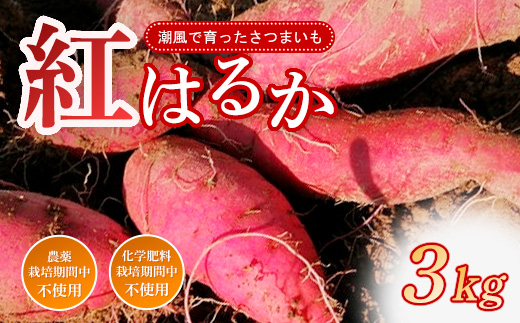 紅はるか 3kg 農薬 化学肥料 不使用 さつまいも 芋 いも サツマイモ 高知県産 甘い 詰め合わせ