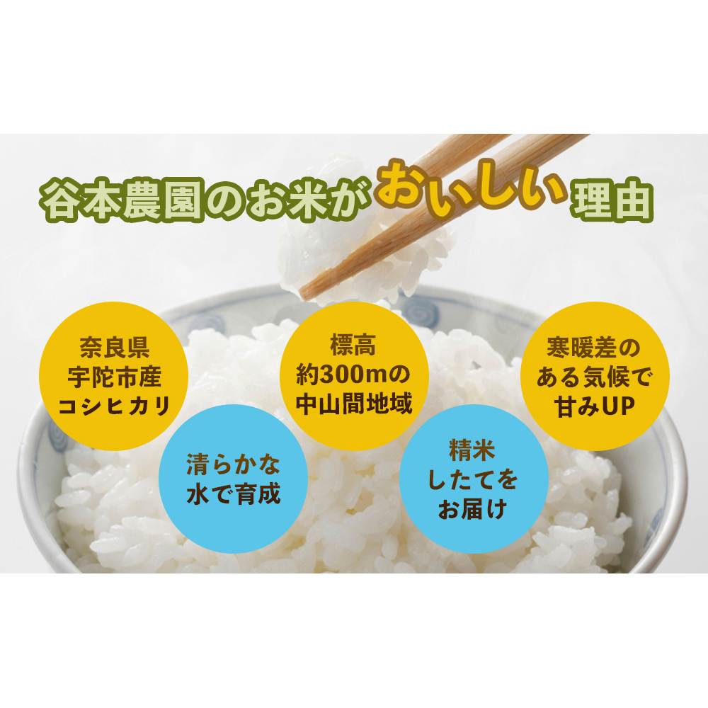 宇陀の自然が育てた 天空【sora】コシヒカリ 定期便 10kg×6回｜奈良県宇陀産 白米_イメージ5