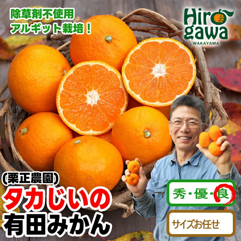 【ふるさと納税】 タカじいの 有田 みかん （良品 サイズ混合 or 大玉） / 温州みかん 有田みかん 甘い 家庭用 和歌山 柑橘 3kg 5kg 10kg 10000円 ※10月～1月順次発送 //mandarin