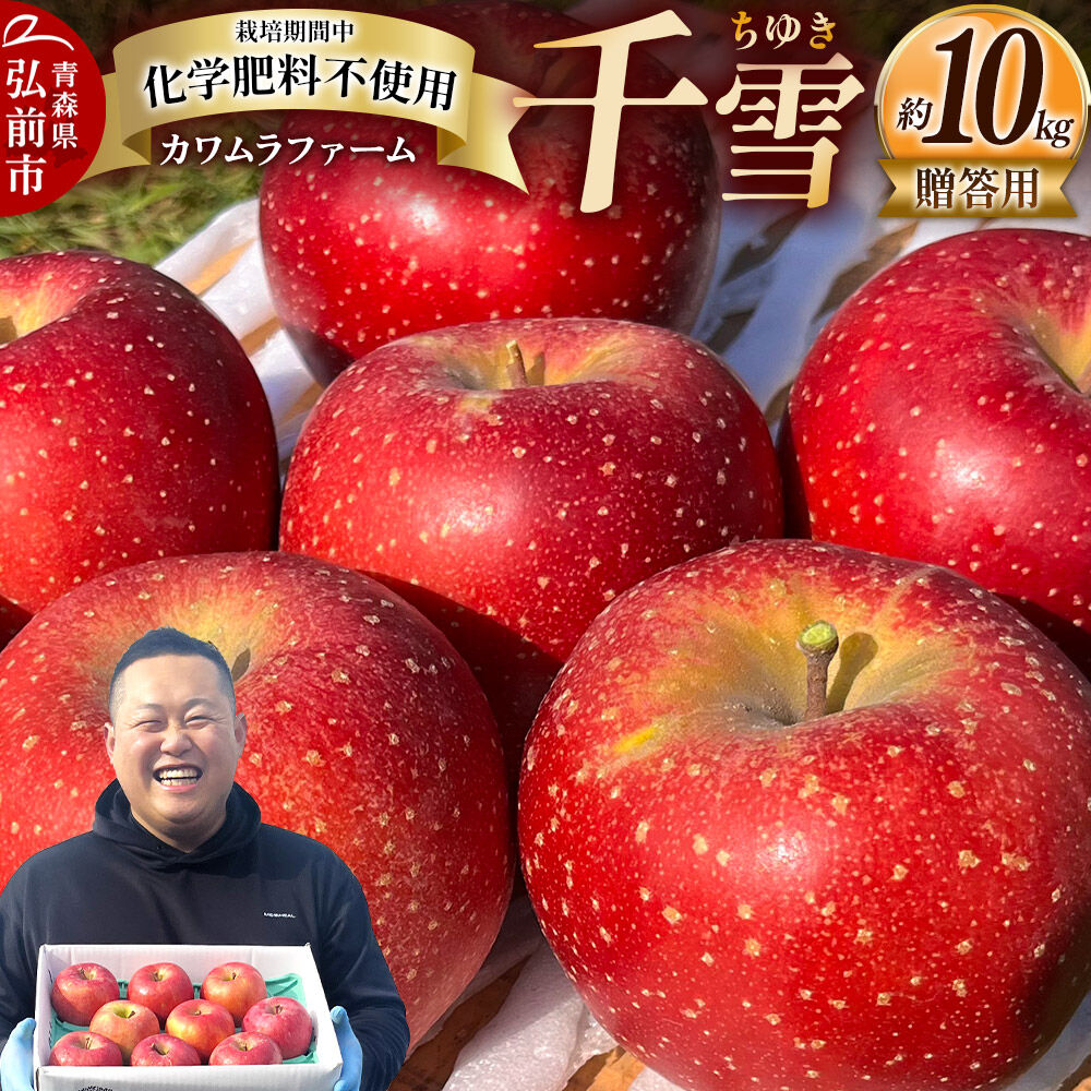 【26年10月下旬～発送】りんご 千雪 約10kg カワムラファーム【贈答用】青森 果物 フルーツ 林檎 リンゴ くだもの [先行受付 アップル おいしい ちゆき お歳暮 お中元 ギフト プレゼント 果実 果物 赤色 贈り物 美味 林檎 弘前市]