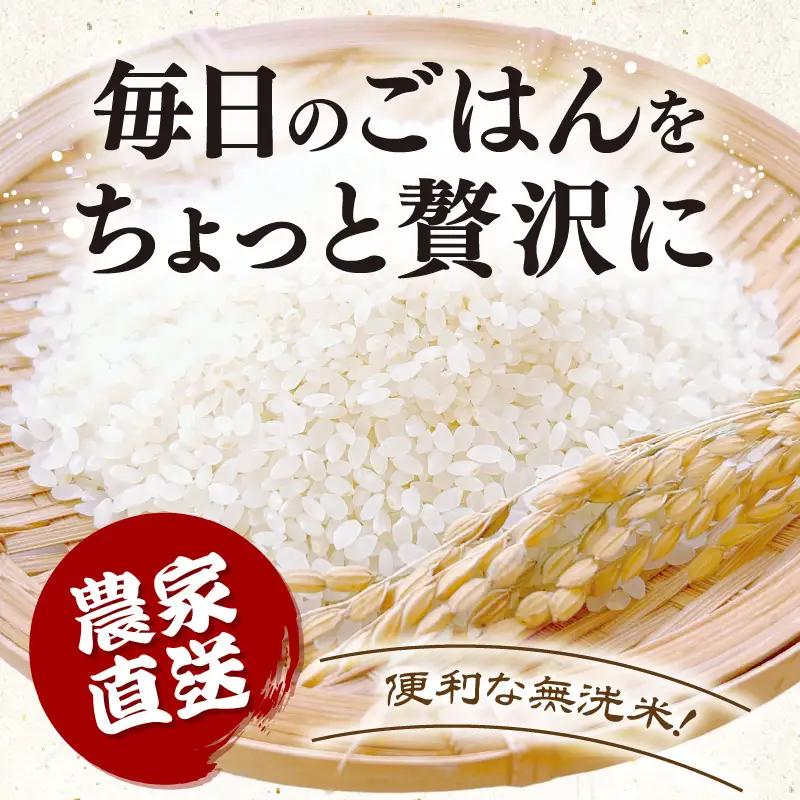 【先行予約】【令和8年産】定期便 ≪12ヶ月連続お届け≫ にじのきらめき 無洗米 5kg×12回 / 鮮度抜群 60キロ 福井県あわら産 無洗米 お米 ※2026年10月上旬より順次発送 [aw071