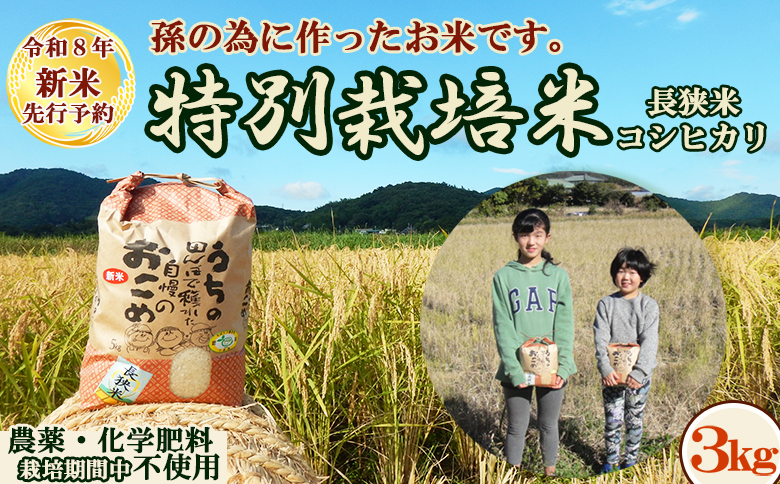 【令和８年産 新米 先行予約】孫のために作りました！『長狭米 コシヒカリ 特別栽培米』３kg《精米》 《９月中旬より順次発送》《数量限定》減農薬 減化学肥料 農家直送 玄米 白米 熟成精米 [田代農園