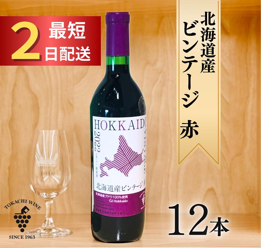 【ふるさと納税】十勝ワイン 北海道産ビンテージ 赤12本 最短申込みから2日発送 国産ワイン 北海道ワイン 北海道池田町 池田町 ふるさと納税 送料無料 ワインセット