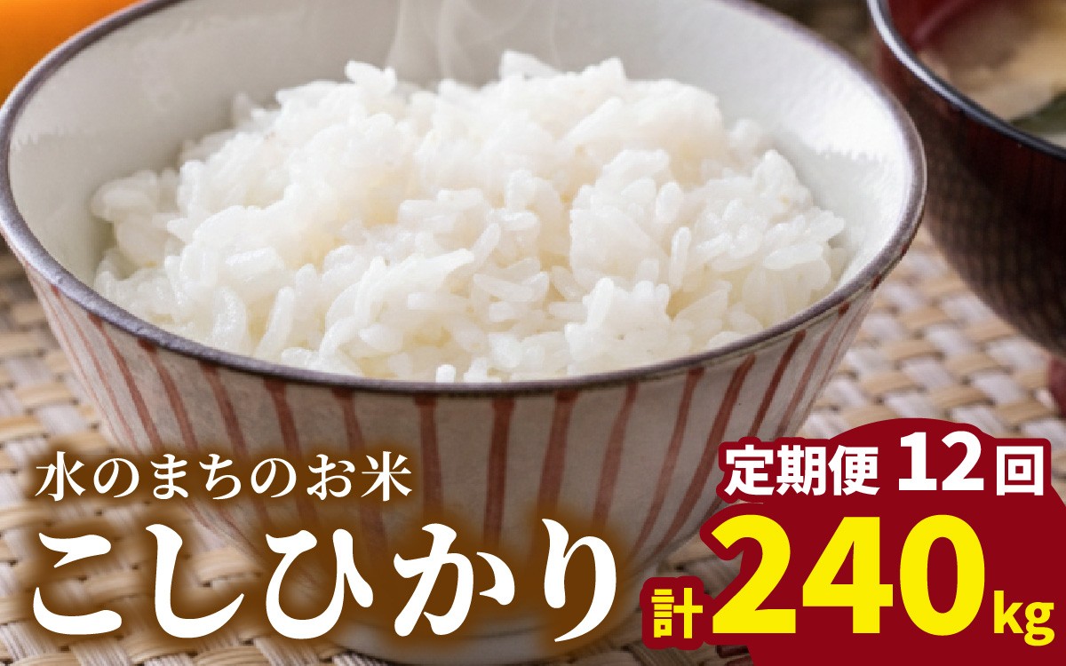 
                  【令和7年産】【12ヶ月定期便】こしひかり 20kg×12回 計240kg（白米）「エコファーマー米」－水のまちのお米－
                