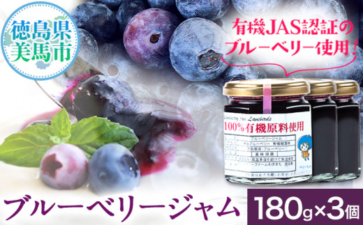 無添加 手作り ブルーベリージャム（180g×3個） 《30日以内に出荷予定(土日祝除く)》ベリーベリーファームわきまち 徳島県 美馬市 ブルーベリー ジャム 果物 フルーツ 青果物 st-p