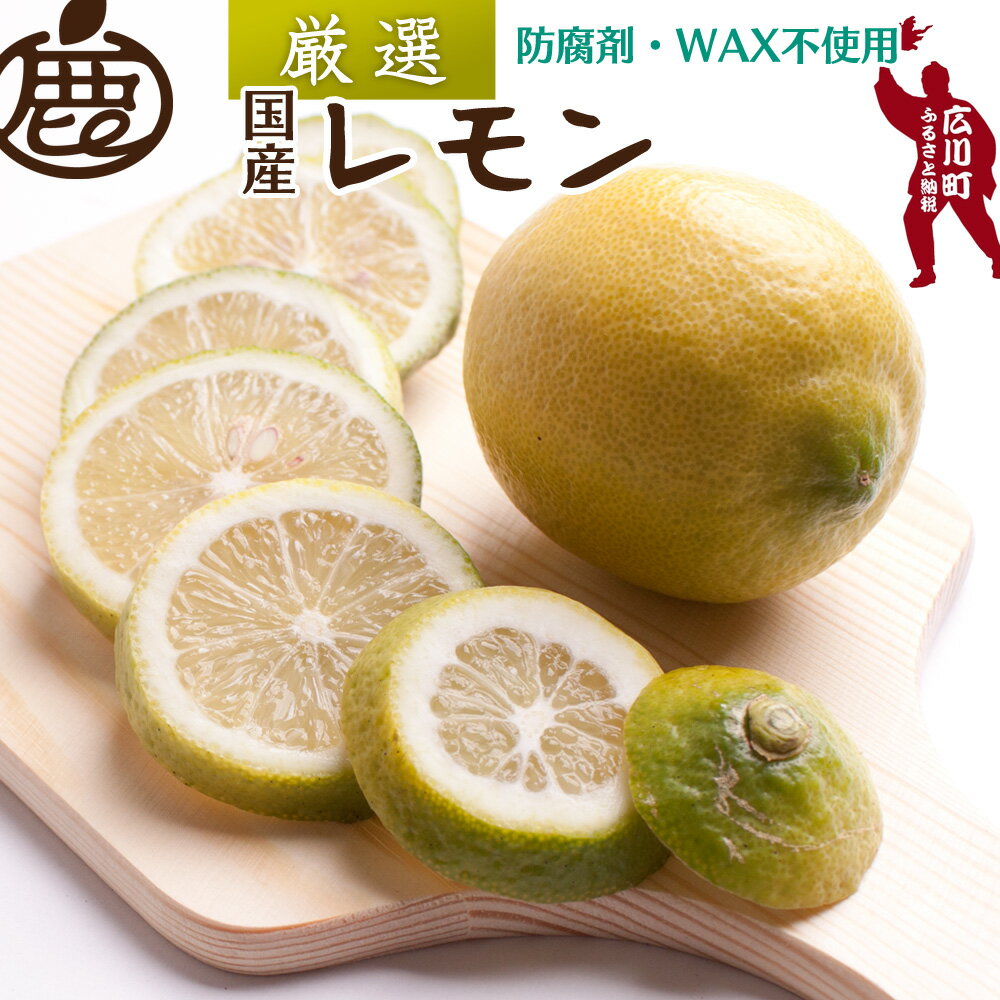 【ふるさと納税】 黒潮 レモン 厳選 / 国産レモン 和歌山 有田 柑橘 防腐剤・WAX不使用 5000円 ※9月上旬〜翌年6月中旬に順次発送 ※北海道・沖縄・離島への配送不可 //lemon