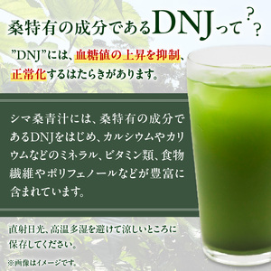 JAS認定！シマ桑 青汁（ 粉末100g ）3個 C001-006 飲み物 飲料 シマ桑青汁 DNJ カルシウム カリウム ミネラル ビタミン類 食物繊維 ポリフェノール 無農薬 新鮮 微粒子粉末 甘