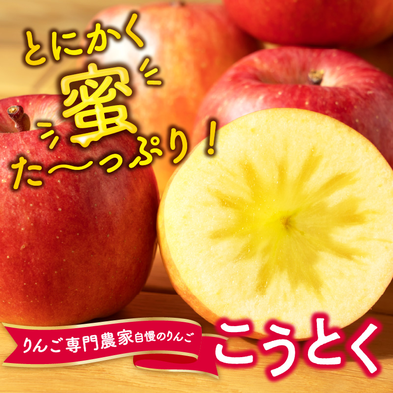  《先行受付》特選こうとくりんご約2.5kg 【2026年11月中旬頃～発送予定】【大江町産・山形りんご・大地農産・11月・12月】