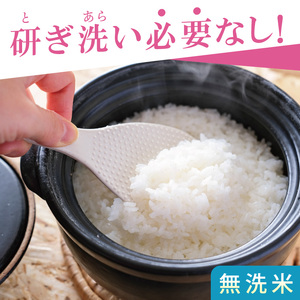 【数量限定】R7年産取手市産あきたこまち 無洗米10kg（5kg×2袋）|お米 米 新米 白米 茨城県 取手市（BS014）