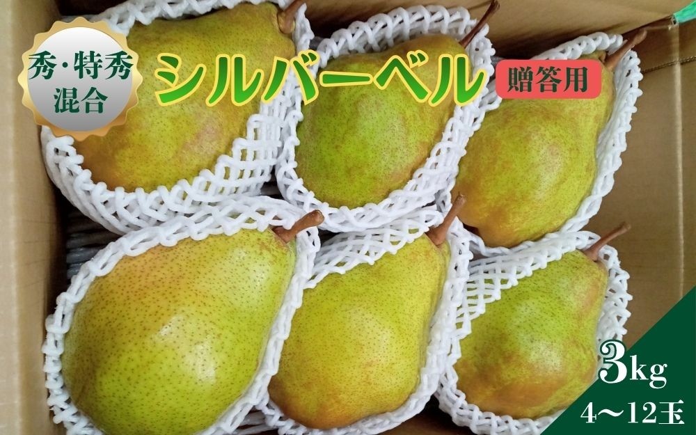 
                  西洋梨（シルバーベル）３ｋｇ　贈答用　0142-2616
                