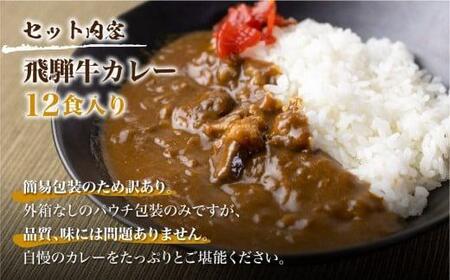  訳あり 飛騨牛カレー (12袋) カレー ビーフカレー 訳あり 簡易包装  レトルトカレー 訳あり ふるさと清見 TR3296