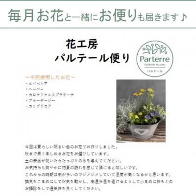 ふるさと納税 北上市 【毎月定期便】季節の寄せ植え　全12回 |  | 02