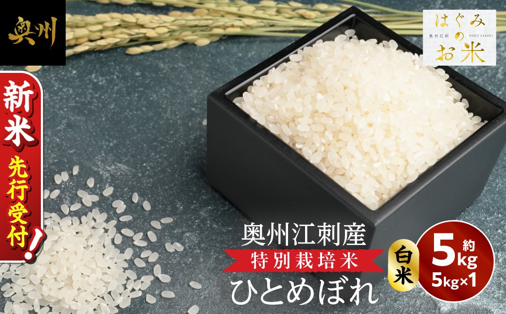 
                  ＼ 令和8年産 新米 先行受付 ／ ひとめぼれ 5kg 特別栽培米 hugmiのお米 奥州江刺産 白米 数量限定 ツヤ 粘り 冷めても美味しい ご飯 ごはん お米 こめ ライス おにぎり お弁当 岩手県 奥州市 [BJ015-R8]
                