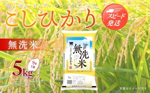 【最短2～7営業日出荷】令和7年産 千葉県産「コシヒカリ」無洗米 5kg（5kg×1袋） A051