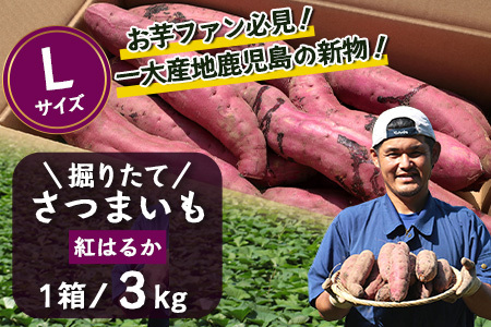 【先行予約】さつまいも 紅はるか 堀りたて 3kg ( 1箱 ) Lサイズ 新物 鹿児島県産 2025年9月下旬より順次出荷|【さつまいも 紅はるか 堀りたて 新物 鹿児島県産 3kg ( 1箱 ) Lサイズ 先行予約 野菜 やさい 食品 人気 おすすめ 送料無料 南大隅町】(AX72215)