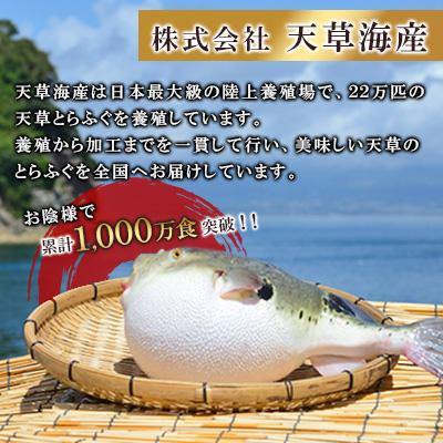ふるさと納税 上天草市 【極上の逸品】1日25セット限定!!天草とらふぐてっさ・てっちり贅沢セット(3〜4人前) |  | 02